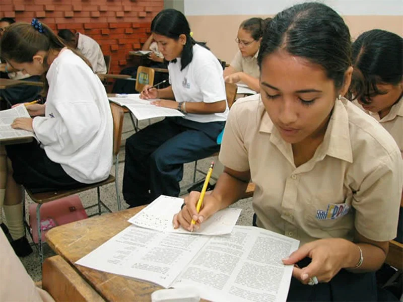 Bachilleres